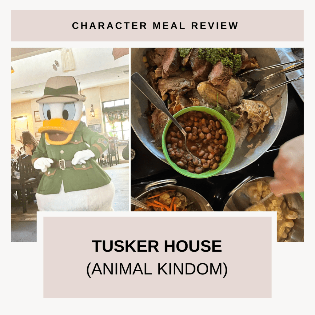 Tusker House Review