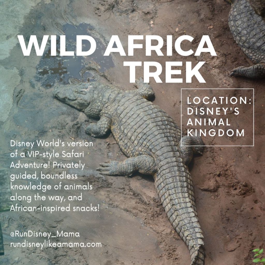 Walt Disney World Tour: Wild Africa&nbsp;Trek
